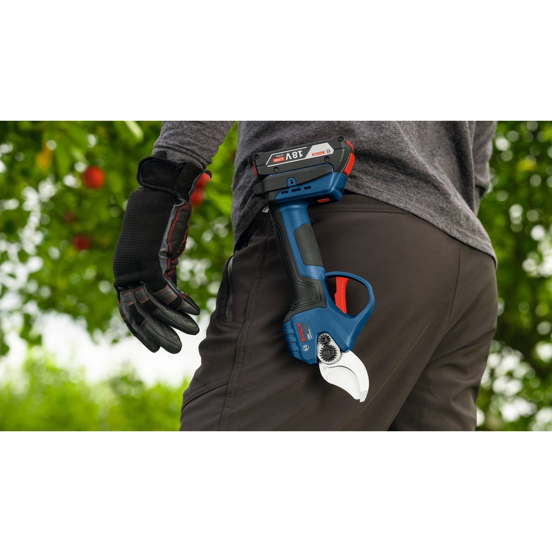 Bosch Akku-Gartenschere GGP18V-32 Pruner 18V #06008D8200
