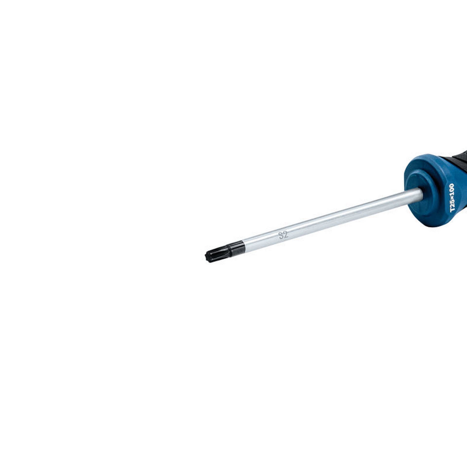 Bosch Schraubendreher, TX25 x 100 #1600A01V0D