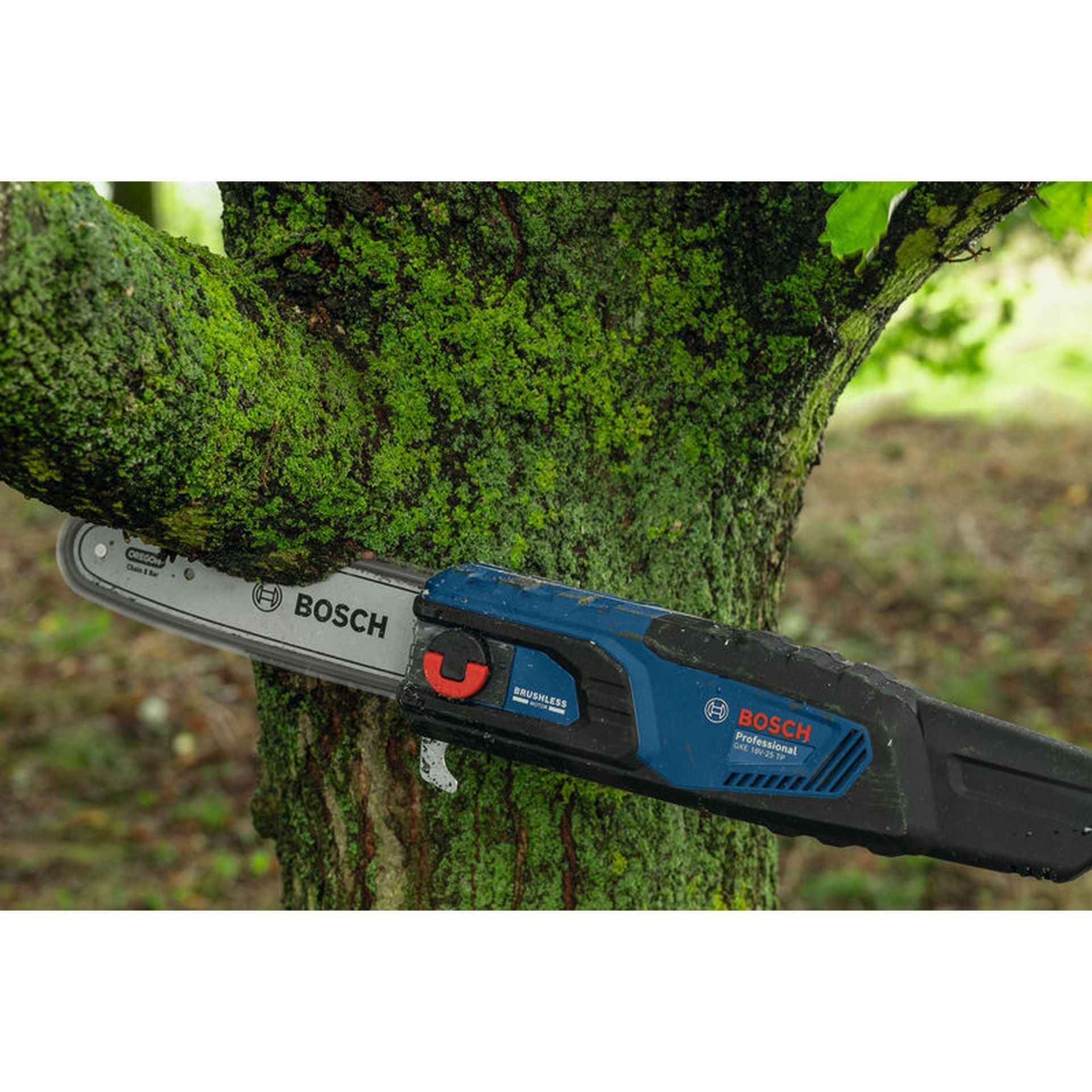 Bosch Zubehör für Akku-Kettensäge Ersatzkette 25 cm 1,1 mm #F016800661