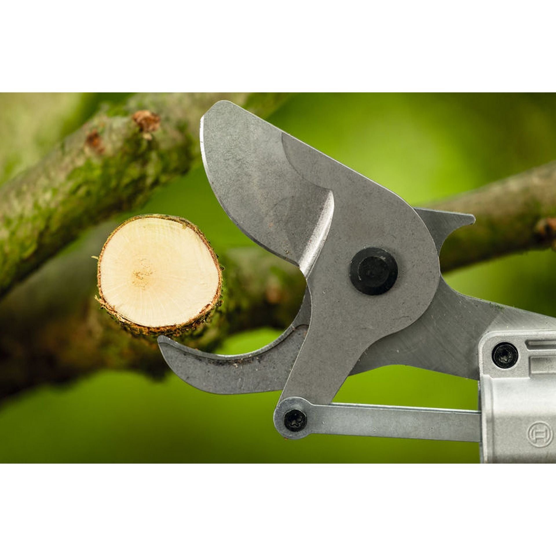 Bosch Akku-Gartenschere GGP18V-45EP #06008D8002