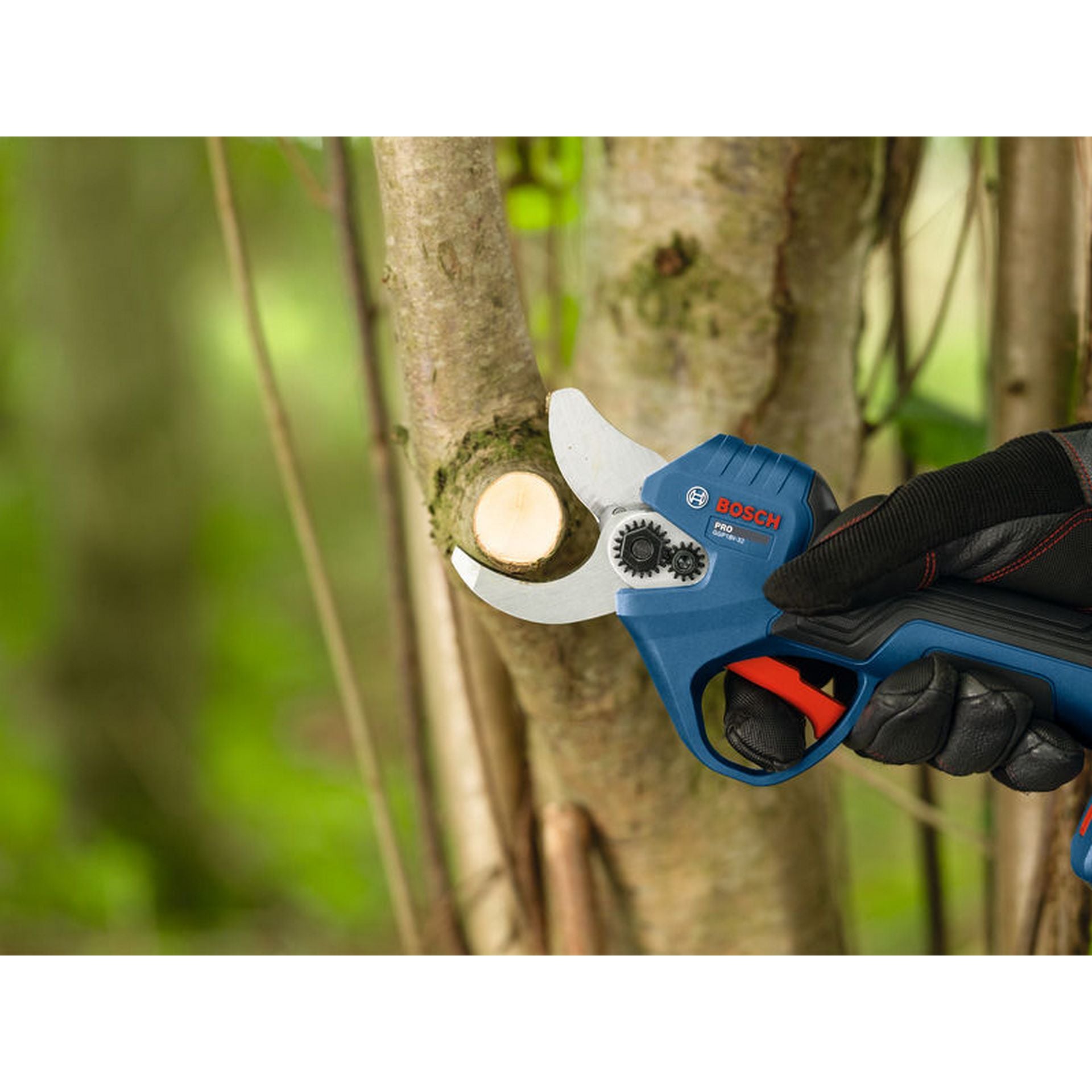 Bosch Akku-Gartenschere GGP18V-32 Pruner 18V #06008D8200