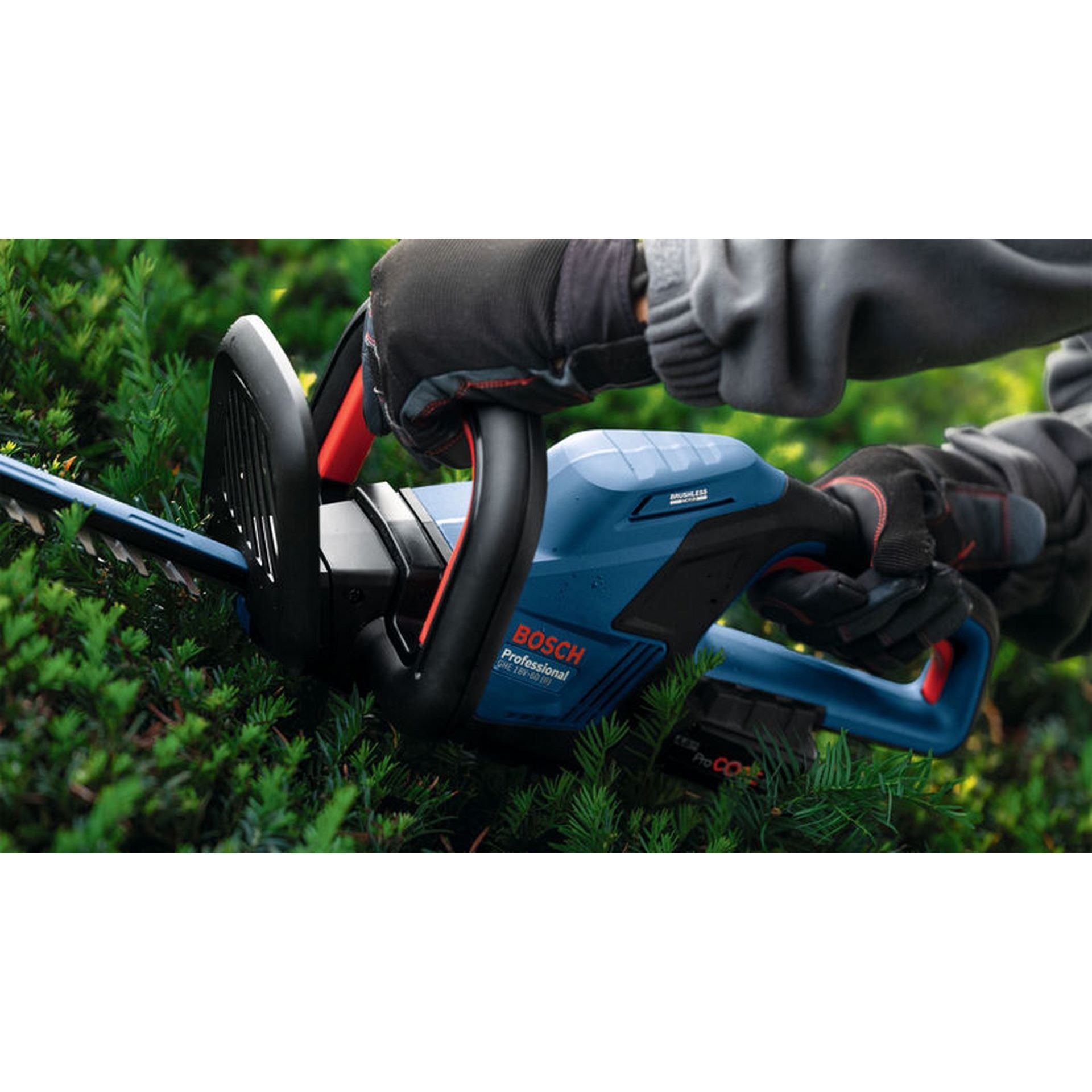 Bosch Akku-Heckenschere GHE 18V-60 (II) #06008C9400