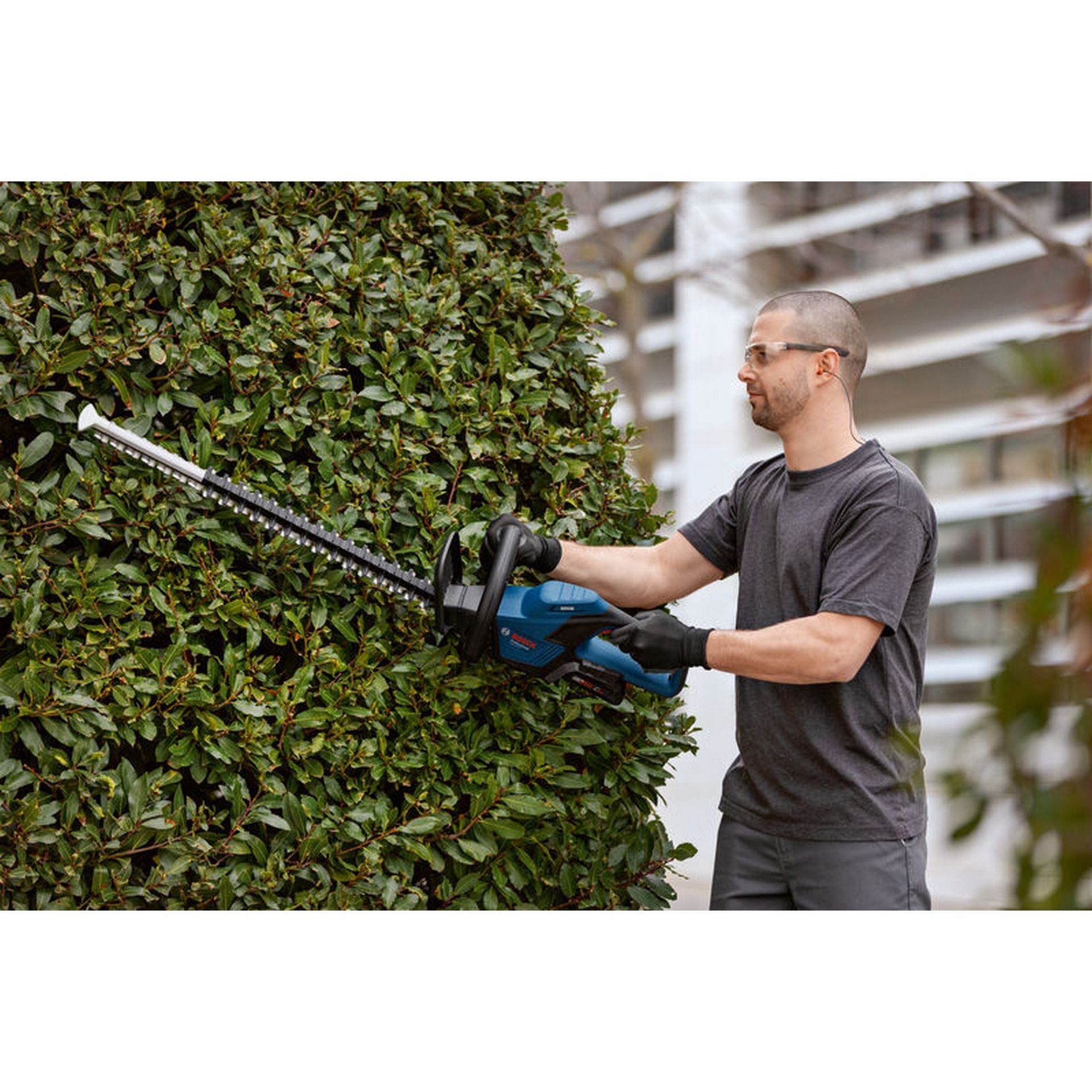 Bosch Akku-Heckenschere GHE 18V-60 #06008C9000