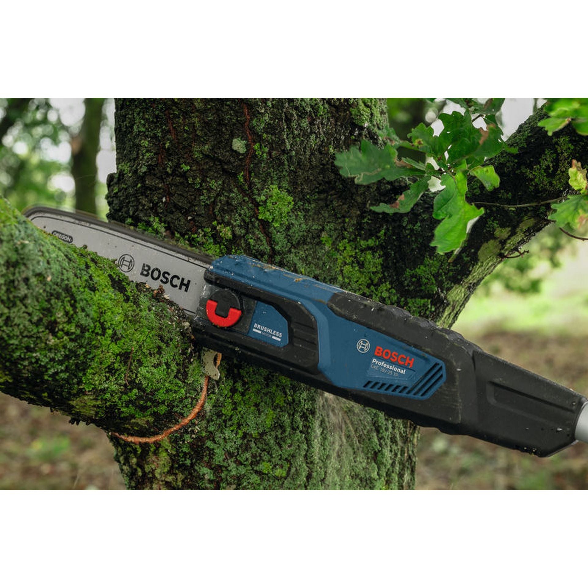 Bosch Akku-Teleskop-Hochentaster GKE 18V-25 TP #06008D6000