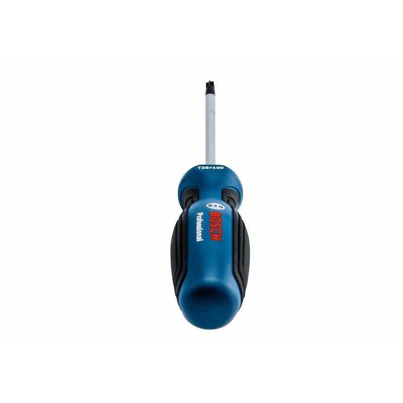 Bosch Schraubendreher, TX25 x 100 #1600A01V0D