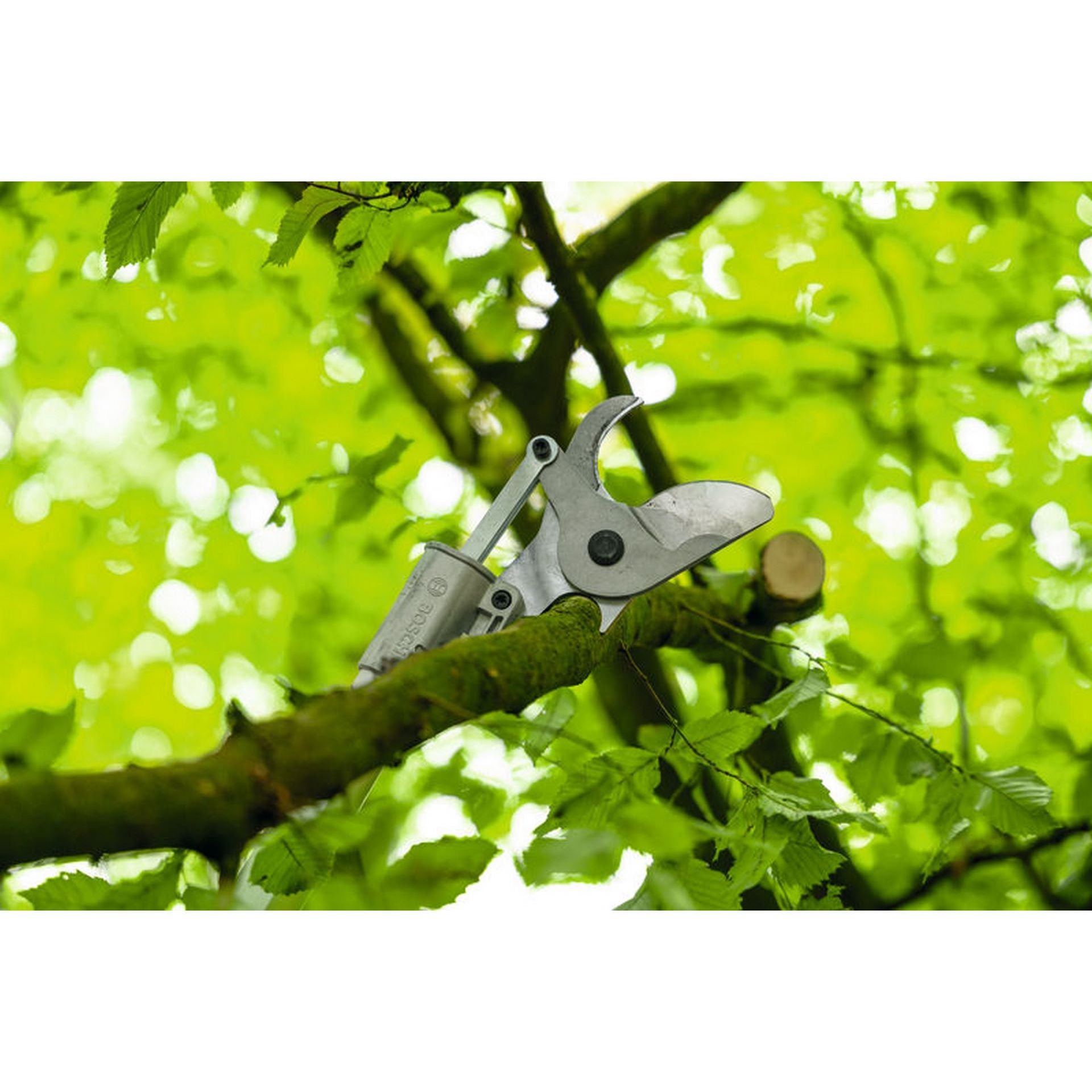Bosch Akku-Gartenschere GGP18V-45EP #06008D8002