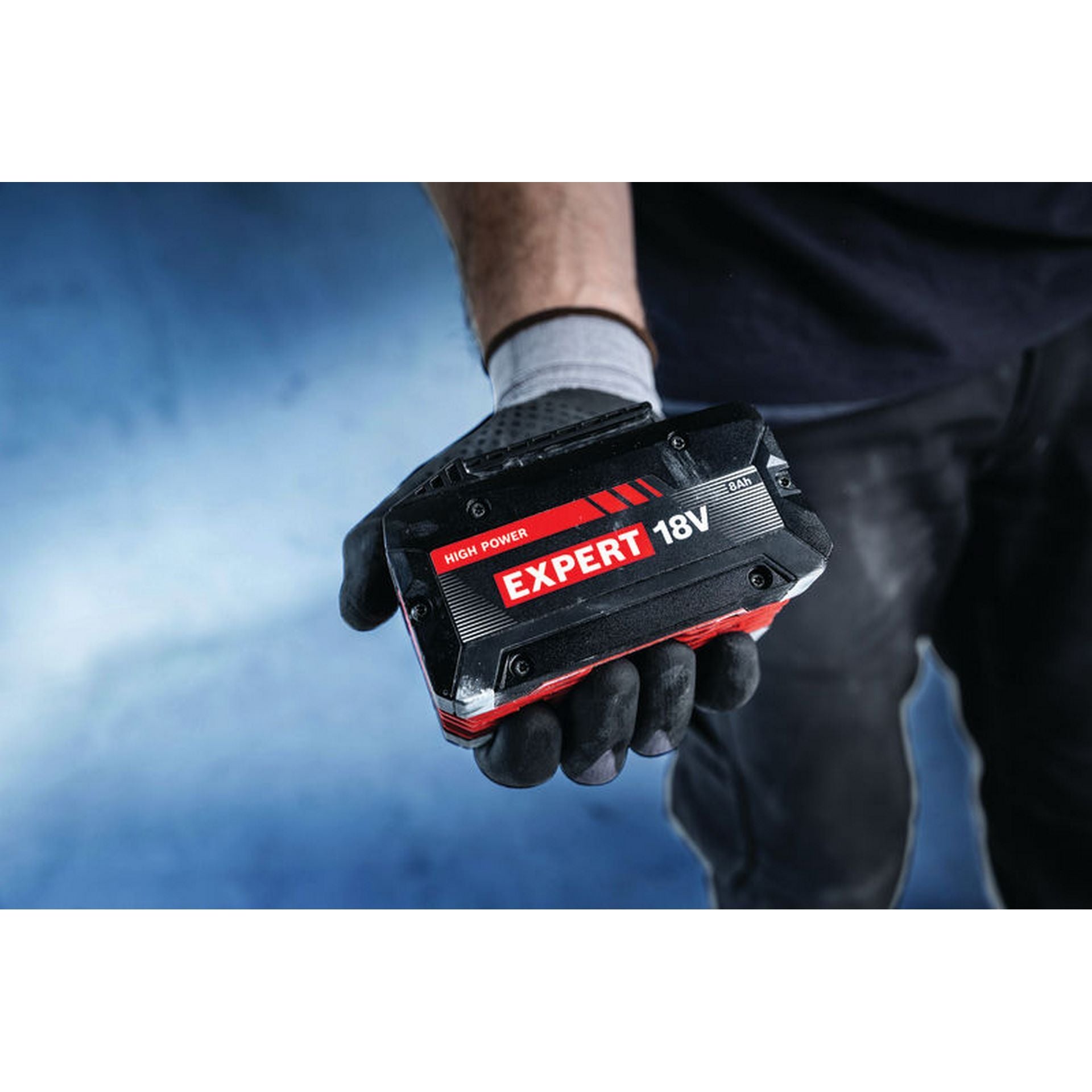 Bosch 2x EXBA18V-80 (C) #1600A0373D