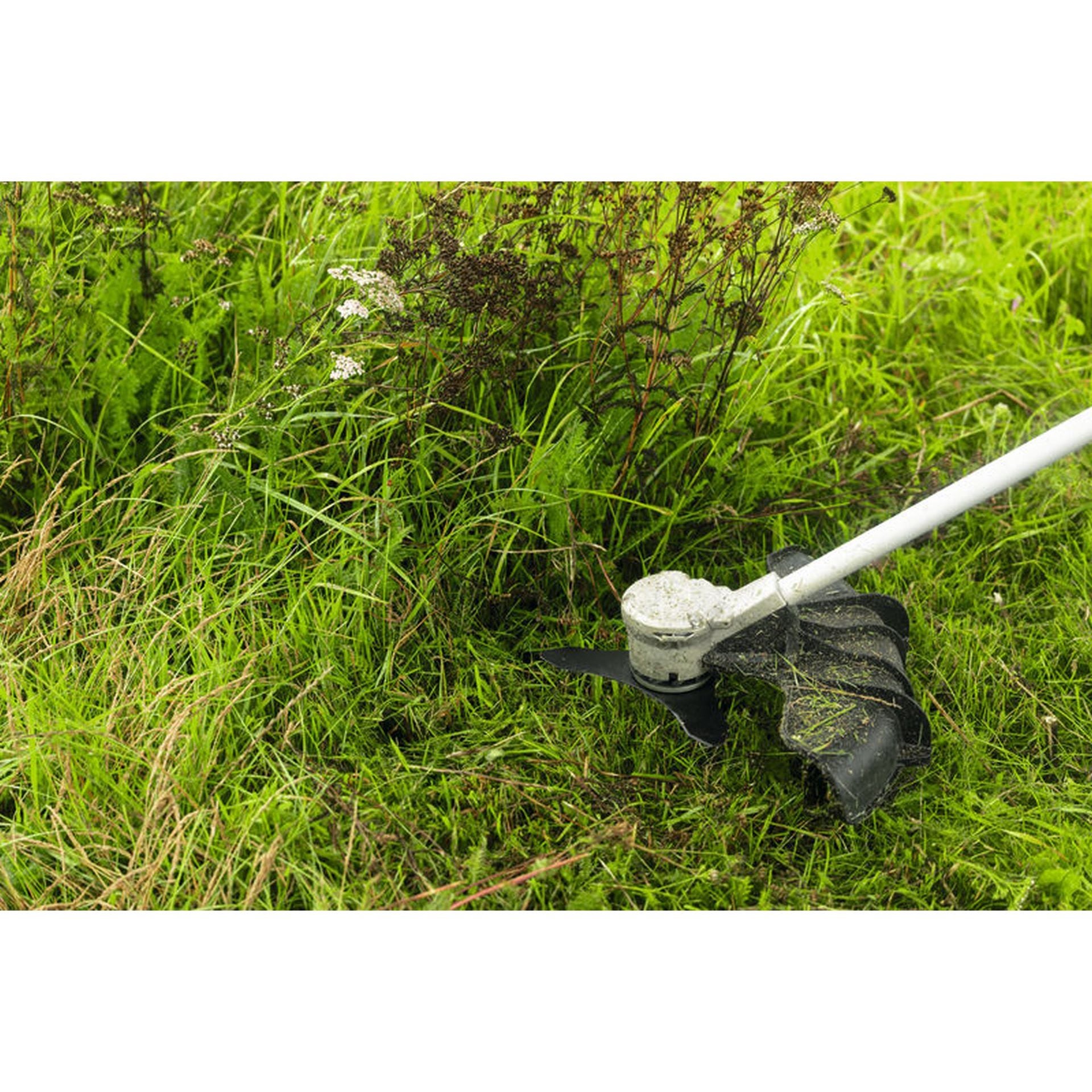 Bosch Zubehör für Akku-Freischneider 3-Zahn Freischneidermesser-Set #F016800663