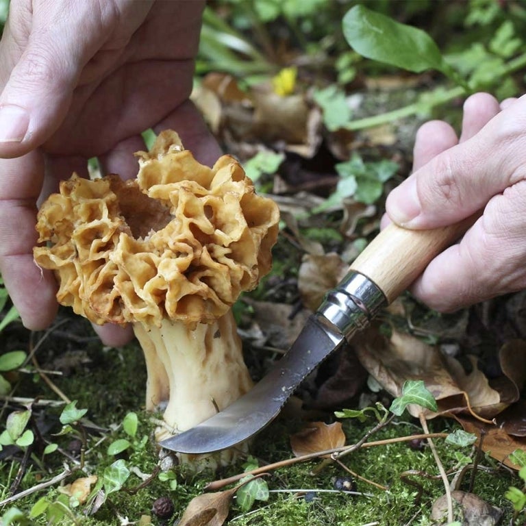 Opinel-Pilzmesser
