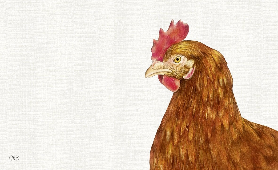 Brettchen FARM HEN cream