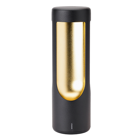 Elton - LED Lampe - black/brass