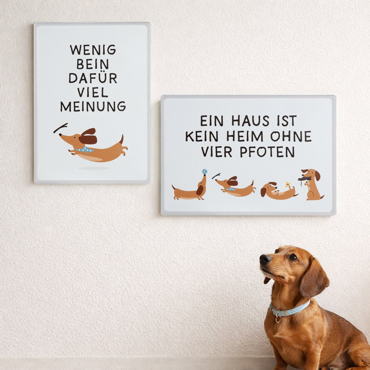 Schild "Dackel Detlef - Ein Haus ist ..." 30x21cm (Metall)