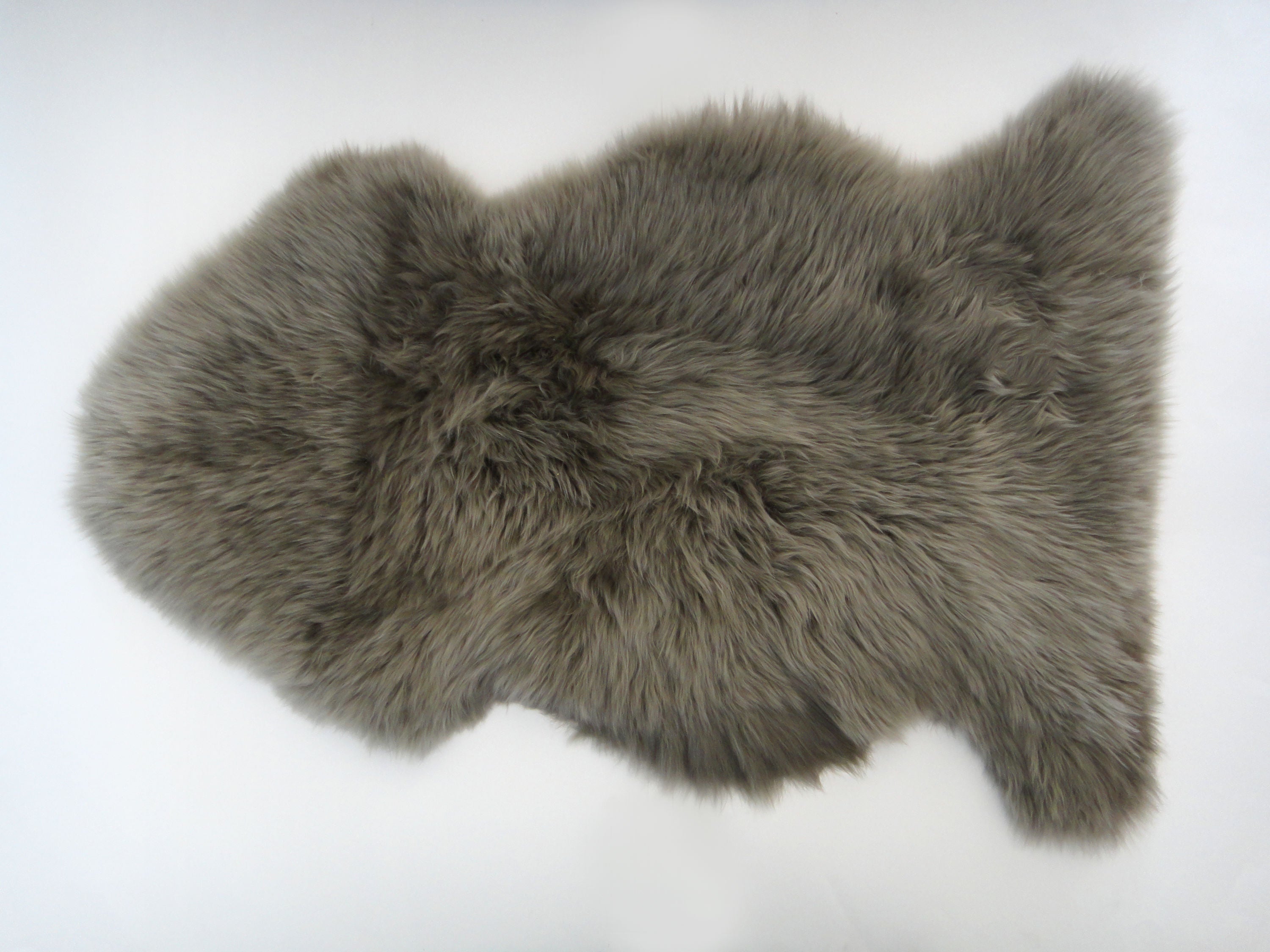 Neuseeland Langwolliges Schaffell ca 95 cm - Fossil