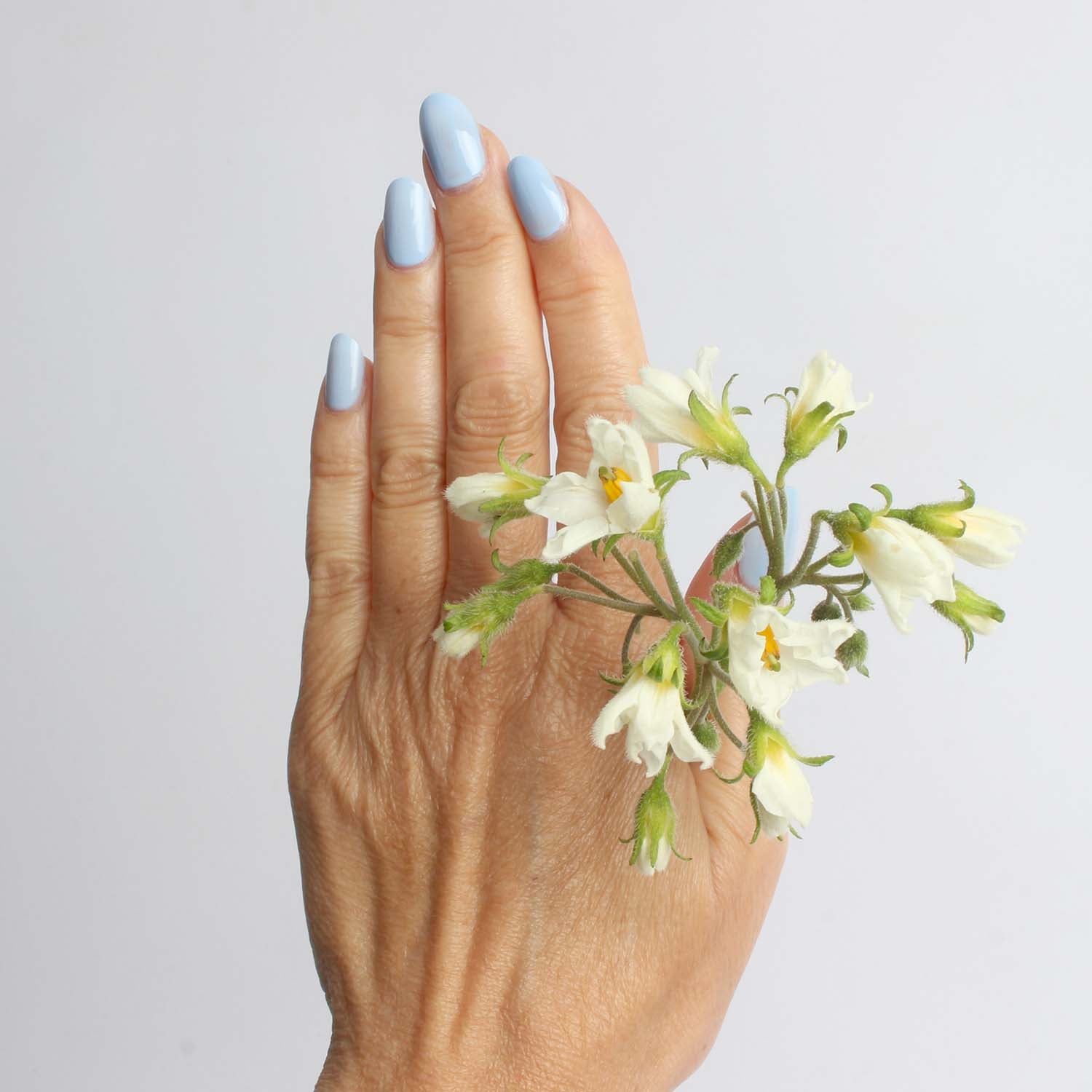 LAUED - nail polish - bio based - Ice 02 Laued naiLaued nailpolish bio based vegan ice lightbluelpolish bio based vegan ice hellblau