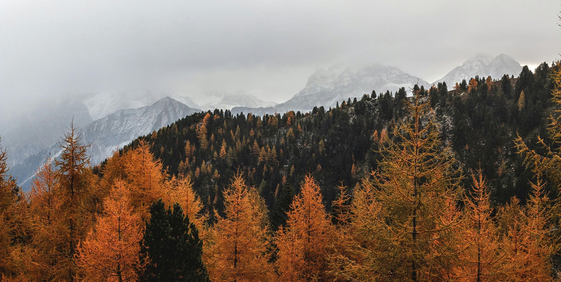 Margelisch Herbstwald