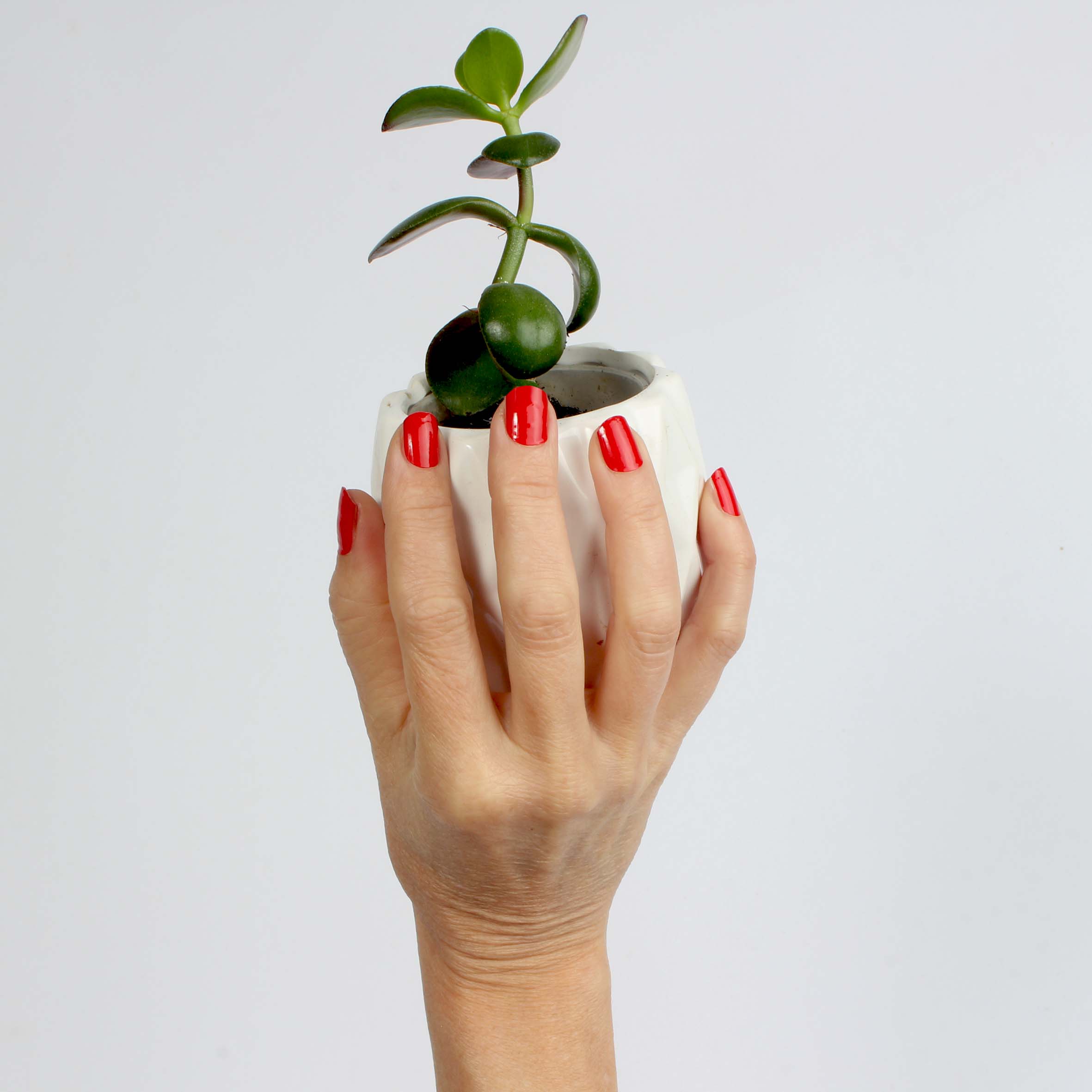 Laued nail wraps red fire rose hand with plant