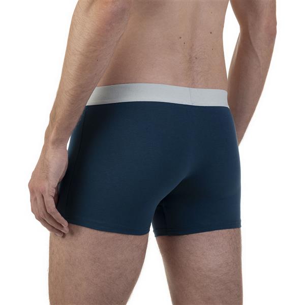 Bruno Banani 2er Pack Herren Short Calathea Artikel 2201-2715