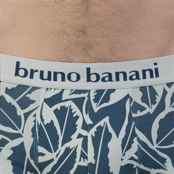 Bruno Banani 2er Pack Herren Short Calathea Artikel 2201-2715