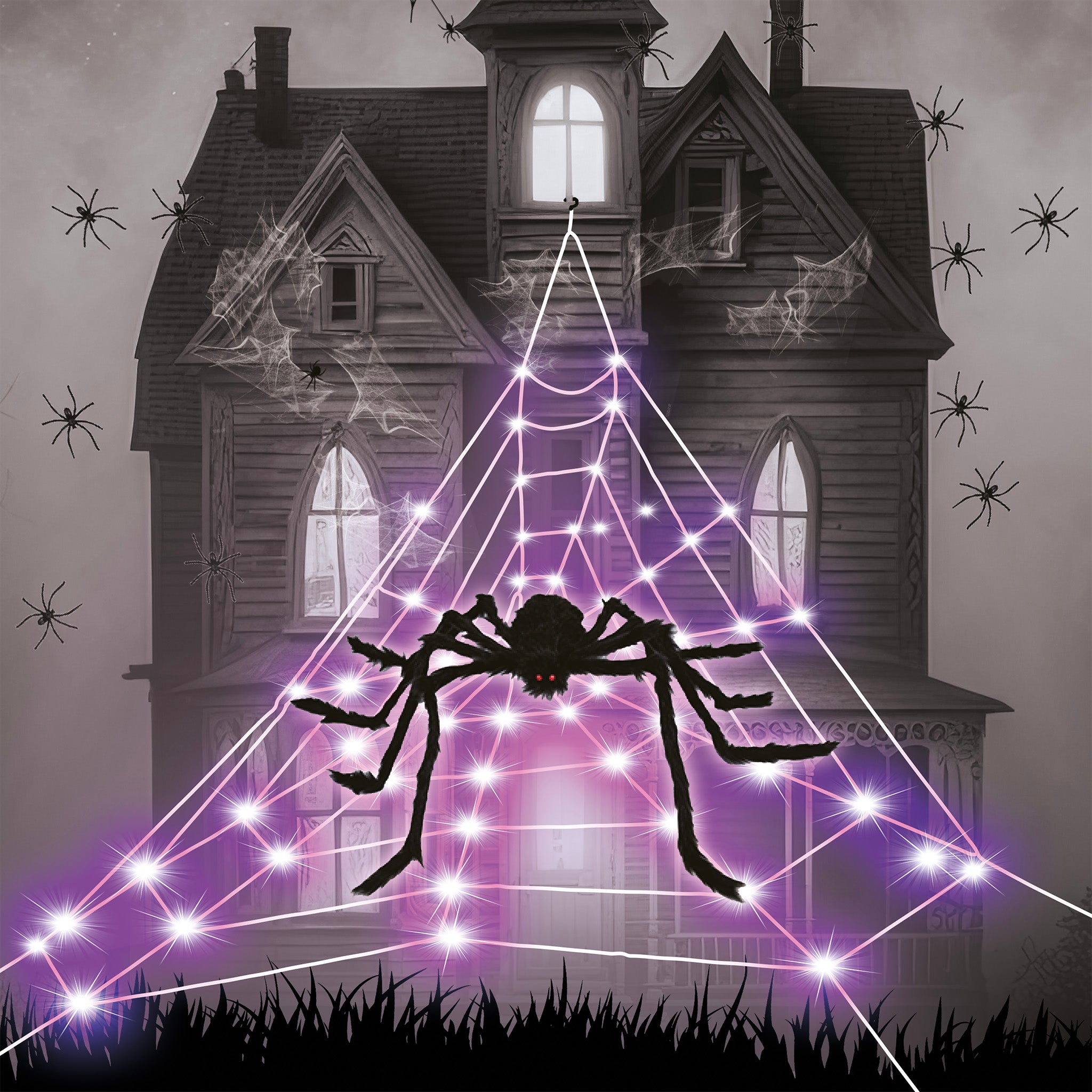 LED Spinnennetz mit Spinne 5M Klassisch