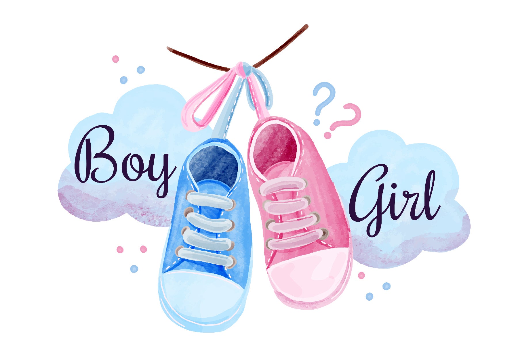 Gender Reveal Party