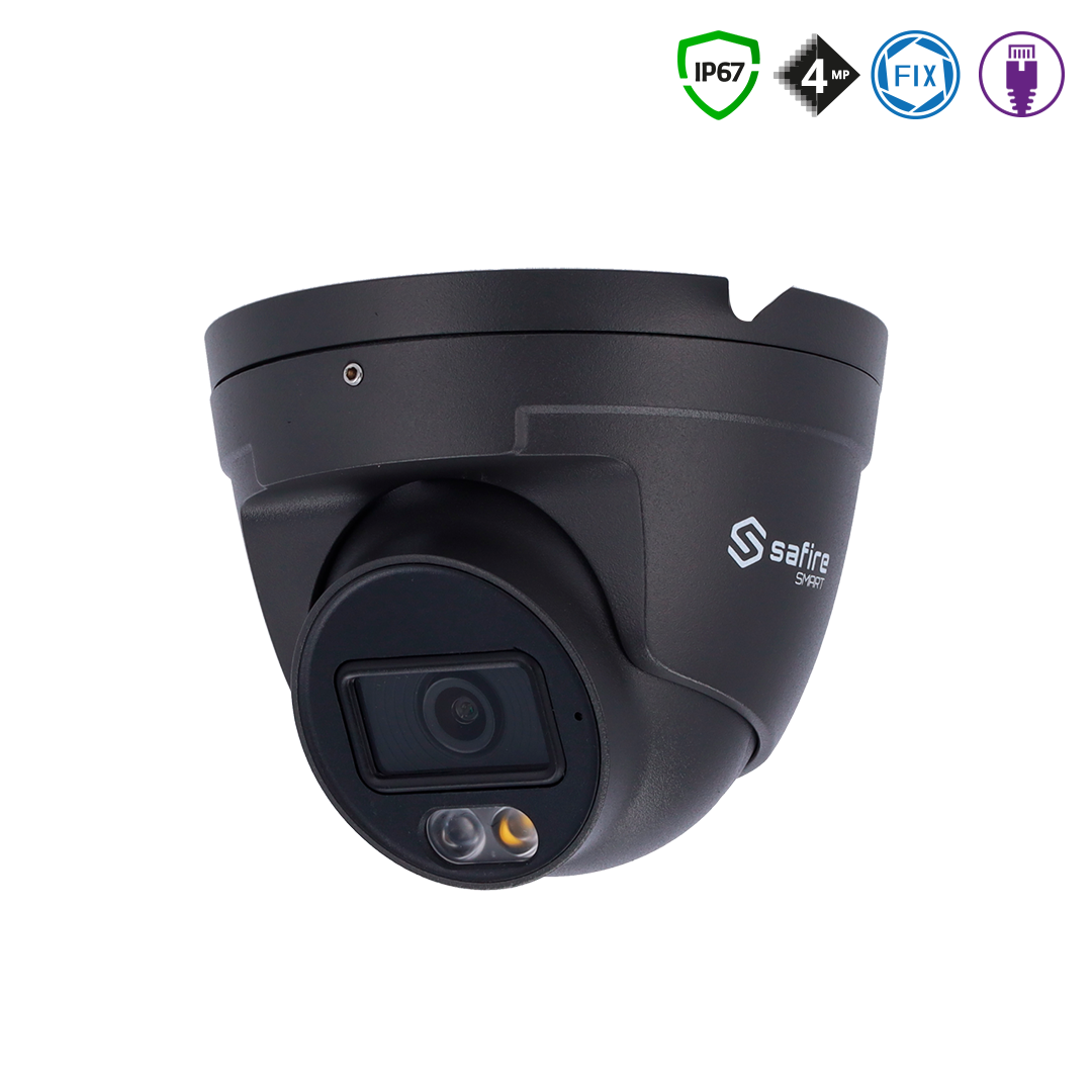 Überwachungskamera, Dome-Kamera, Schwarz, IR-LED, Objektiv