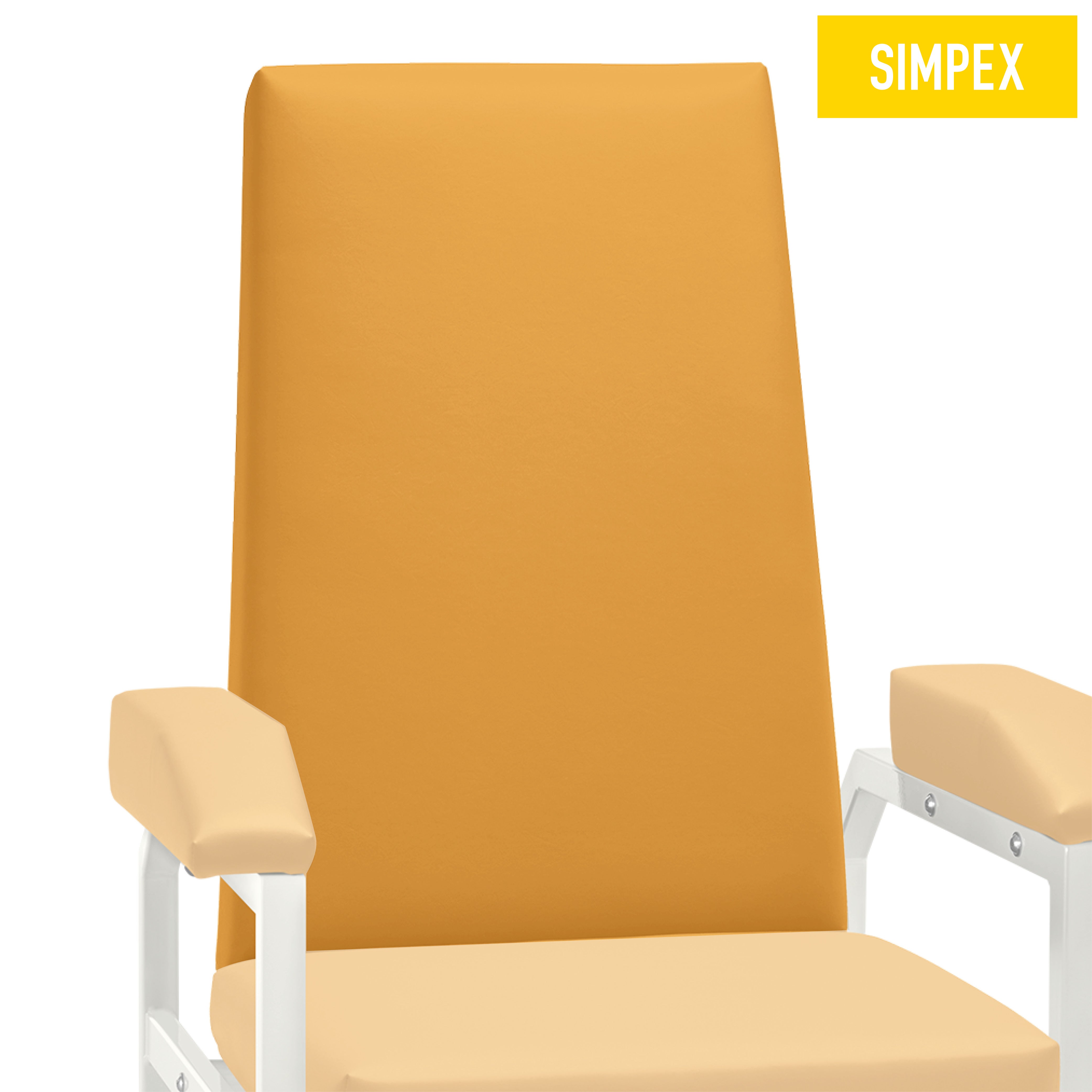 Ersatzteil | Rückenpolster für HAEMO-STAT