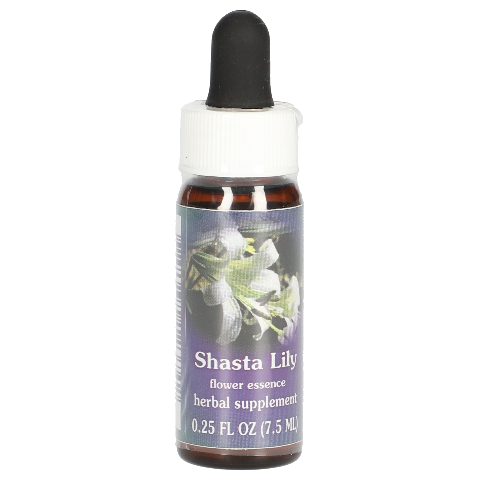 Shasta Lily / Lys de Washington gouttes Shasta Lily / Lys de Washington gouttes