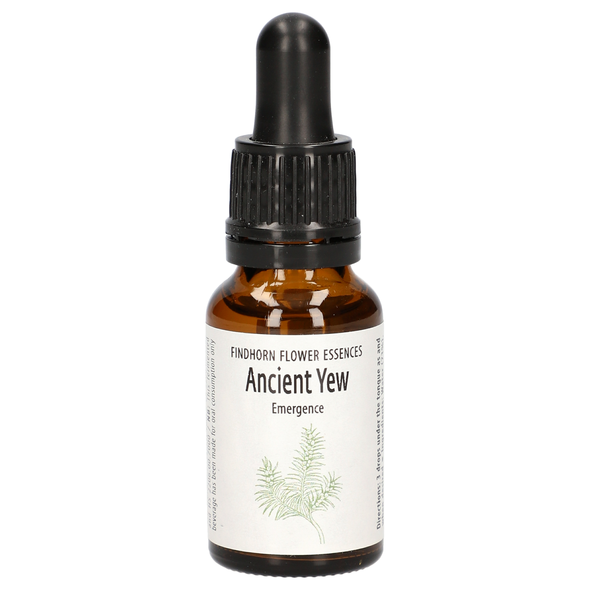 Ancient Yew Tropfen