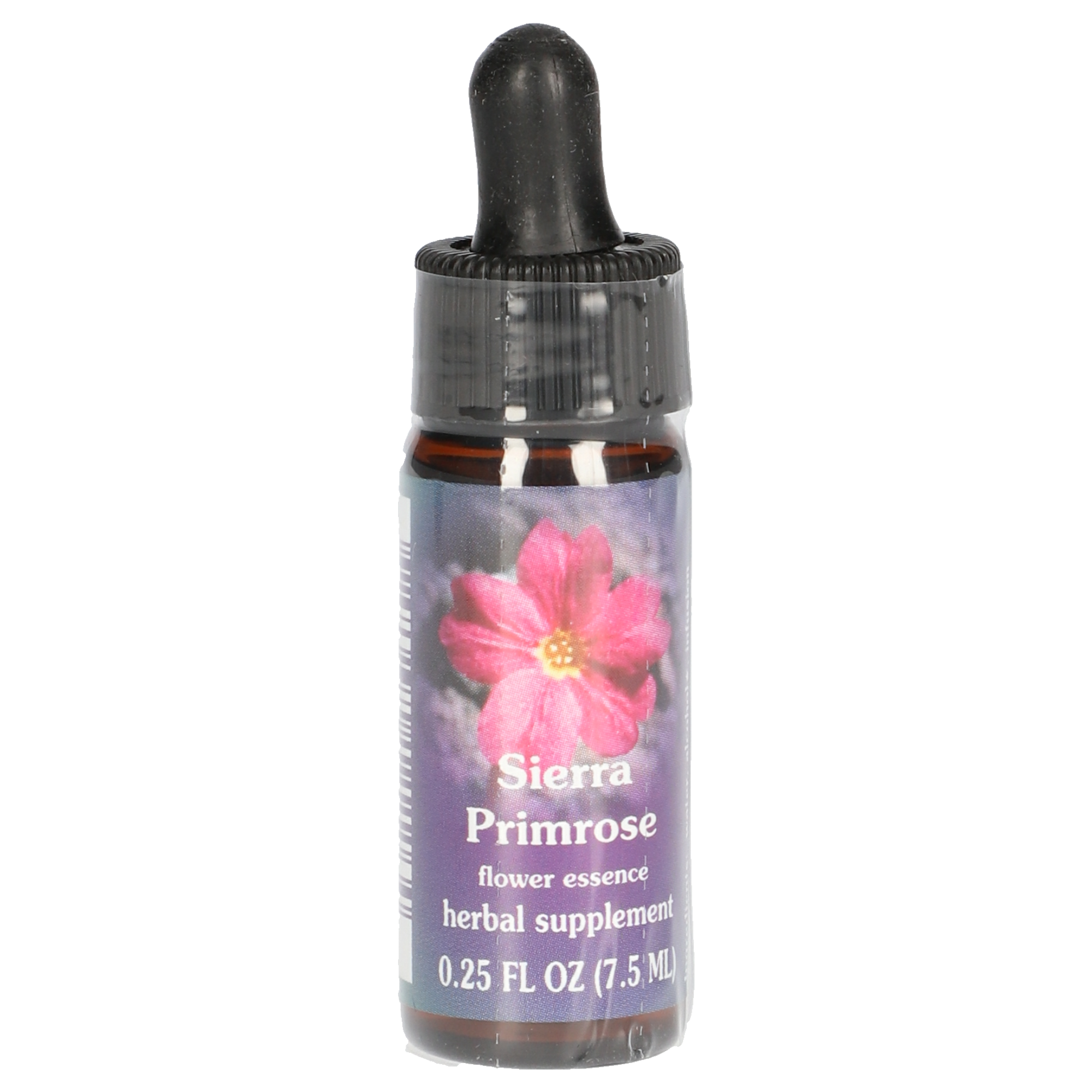 Sierra Primrose / Primevère gouttes Sierra Primrose / Primevère gouttes