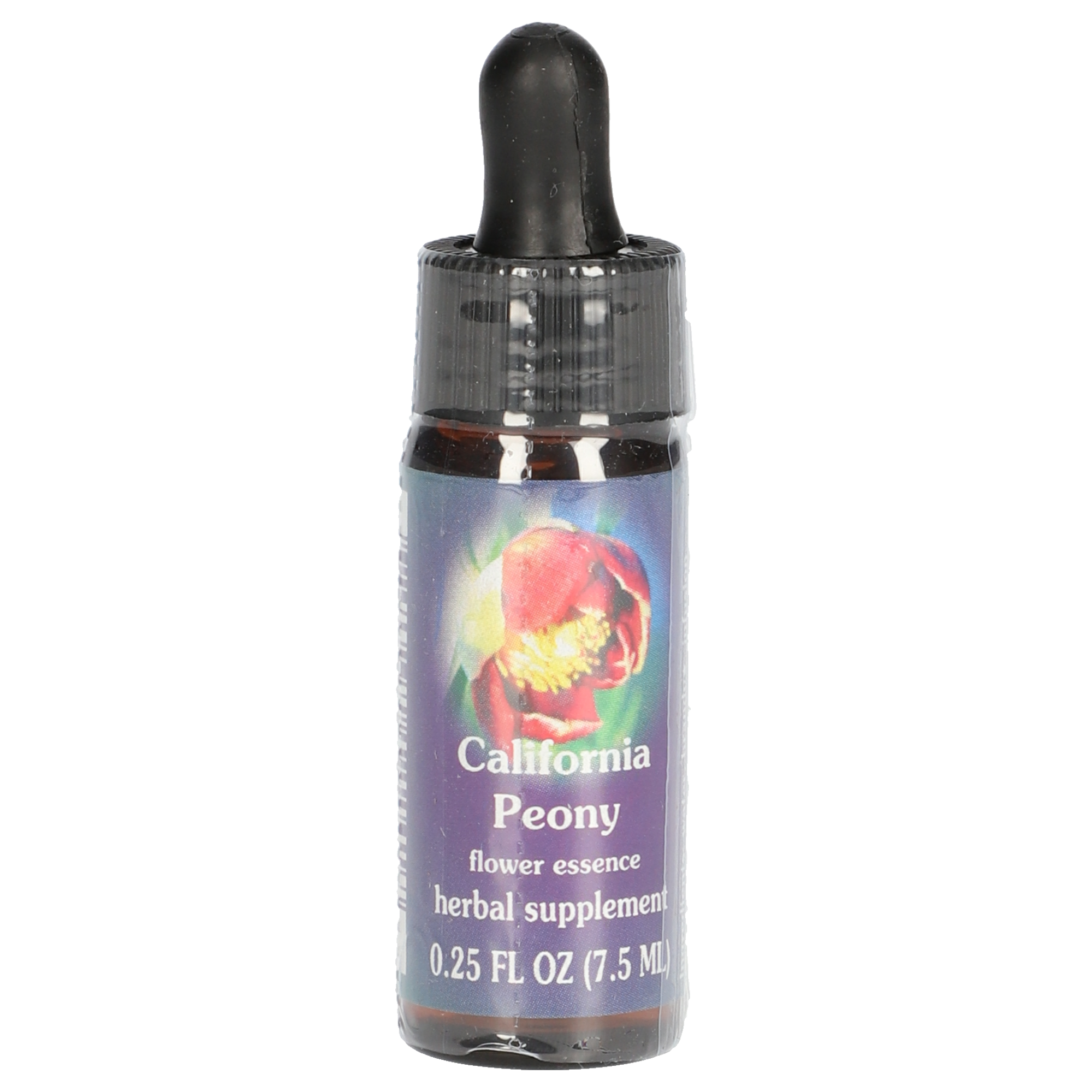 California Peony / Pivoine de Californie gouttes California Peony / Pivoine de Californie gouttes