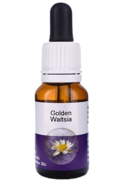 Golden Waitsia gouttes