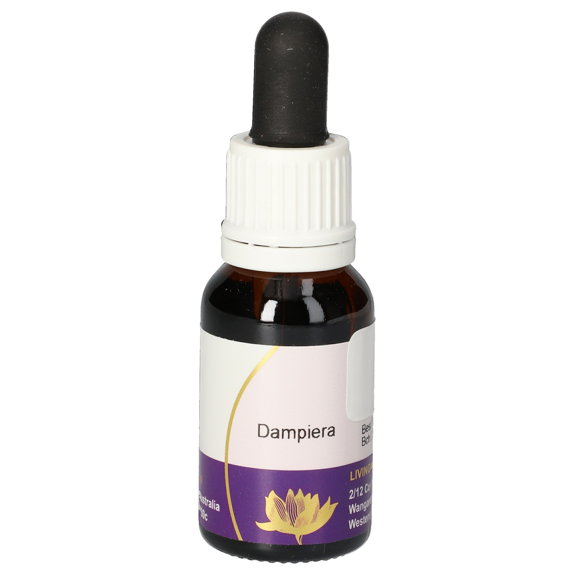 Dampiera Tropfen