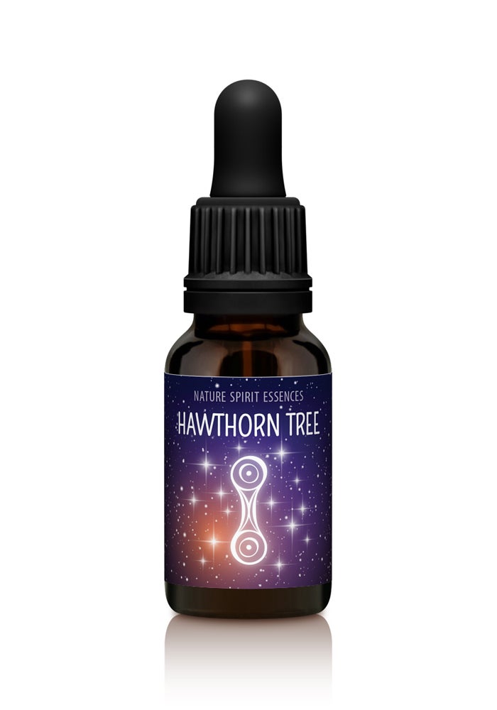 Hawthorn Tree Essence Tropfen