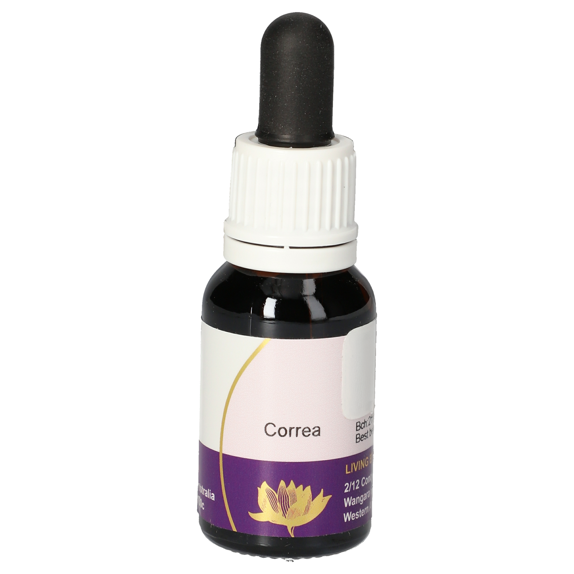 Correa Tropfen