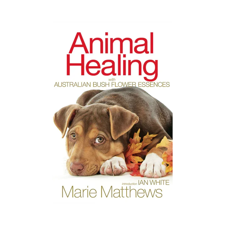 Animal Healing - Buch auf englisch