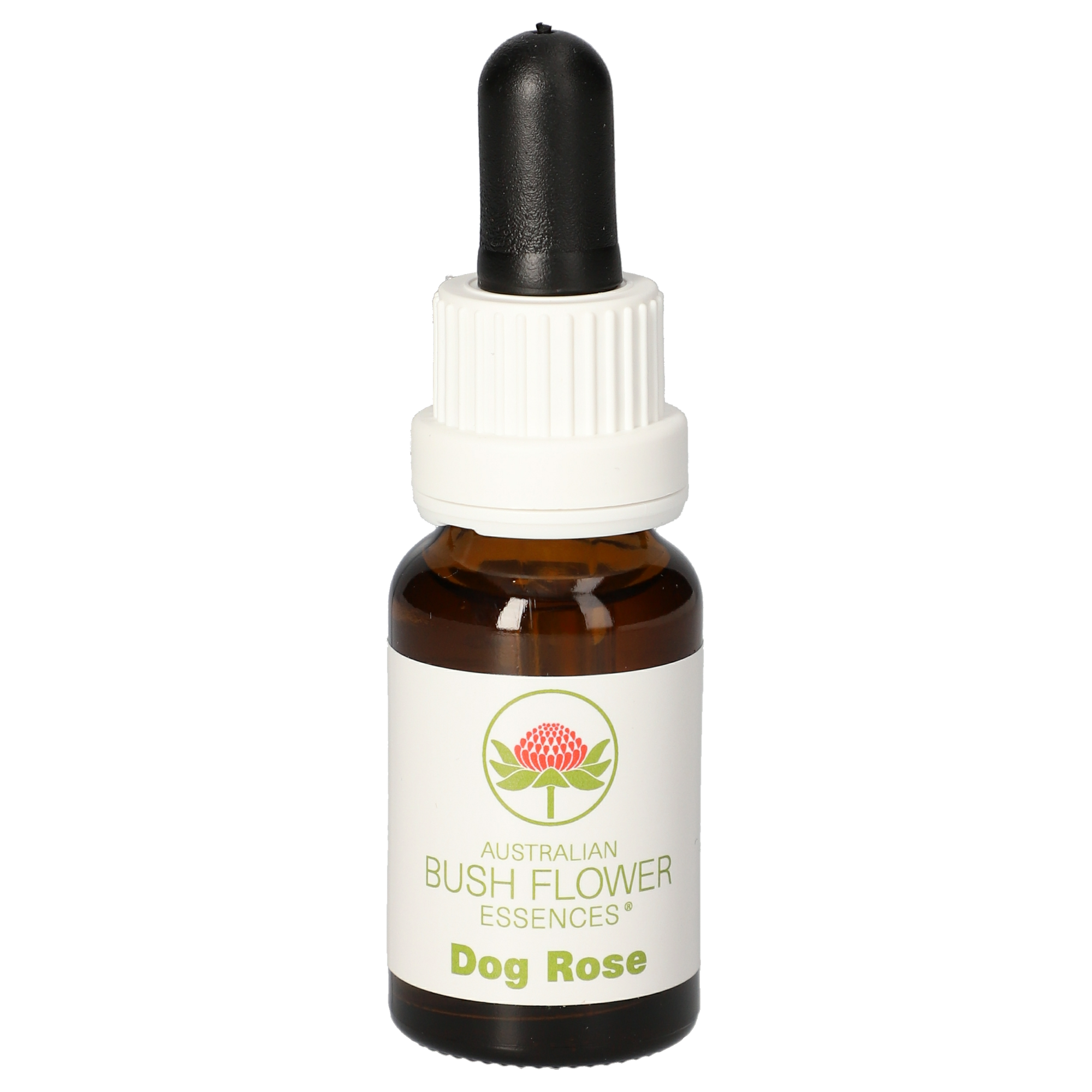 Dog Rose gouttes