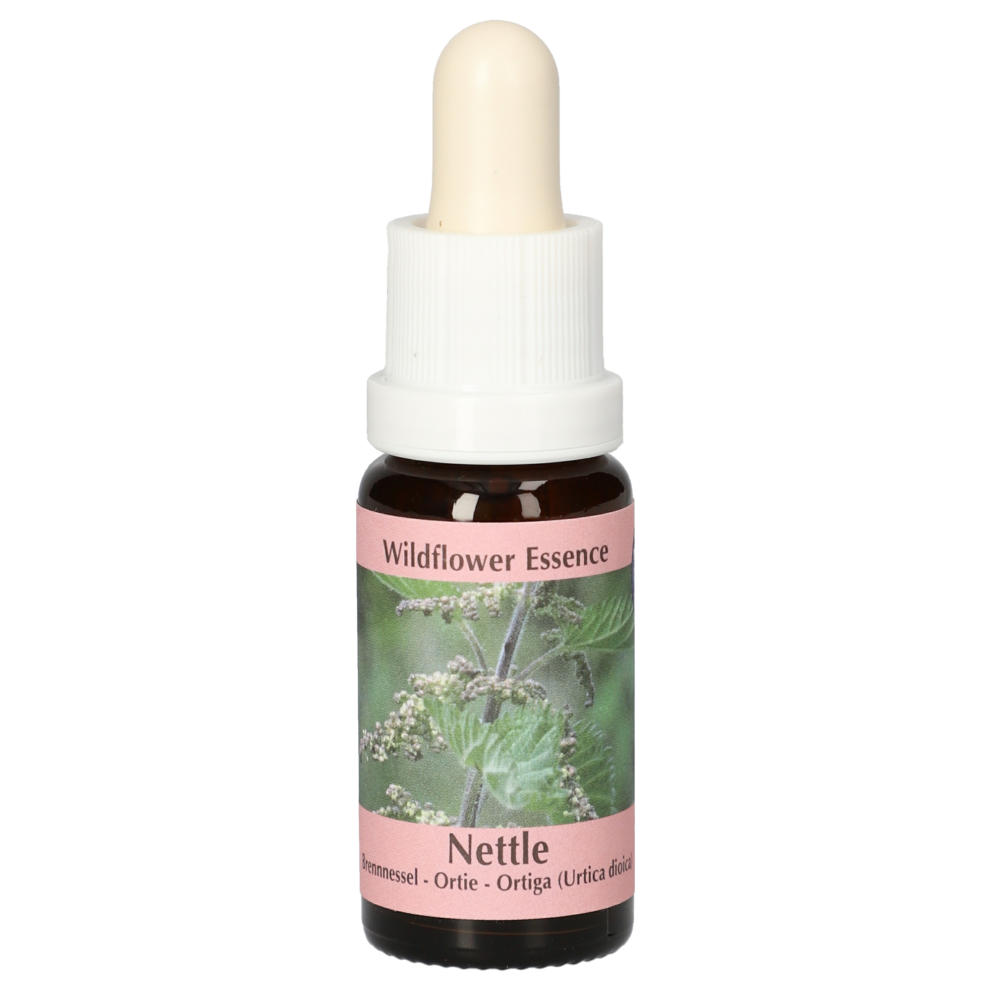 Brennnessel / Nettle Tropfen