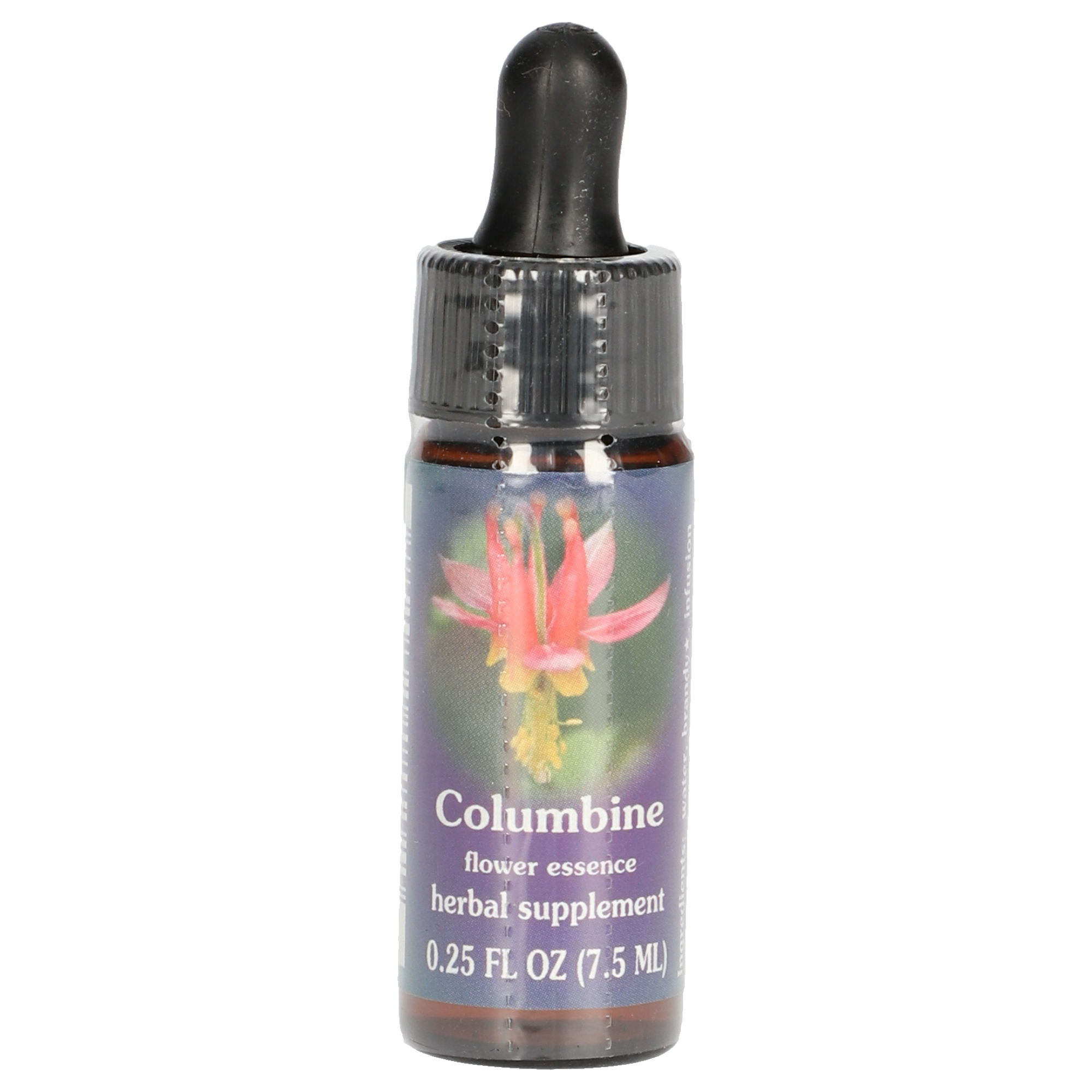 Columbine / Schöne Akelei Tropfen Columbine / Schöne Akelei Tropfen