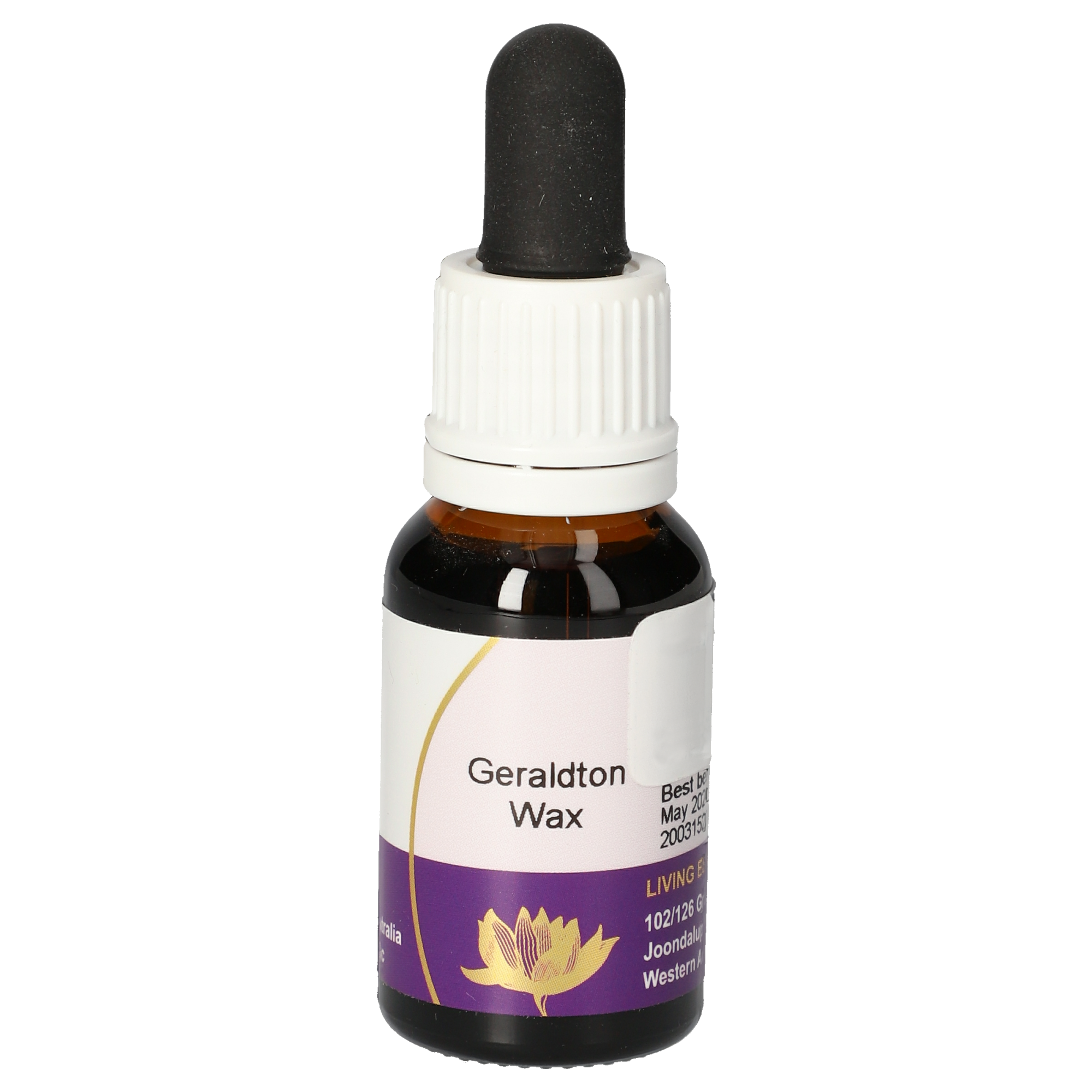 Geraldton Wax Tropfen