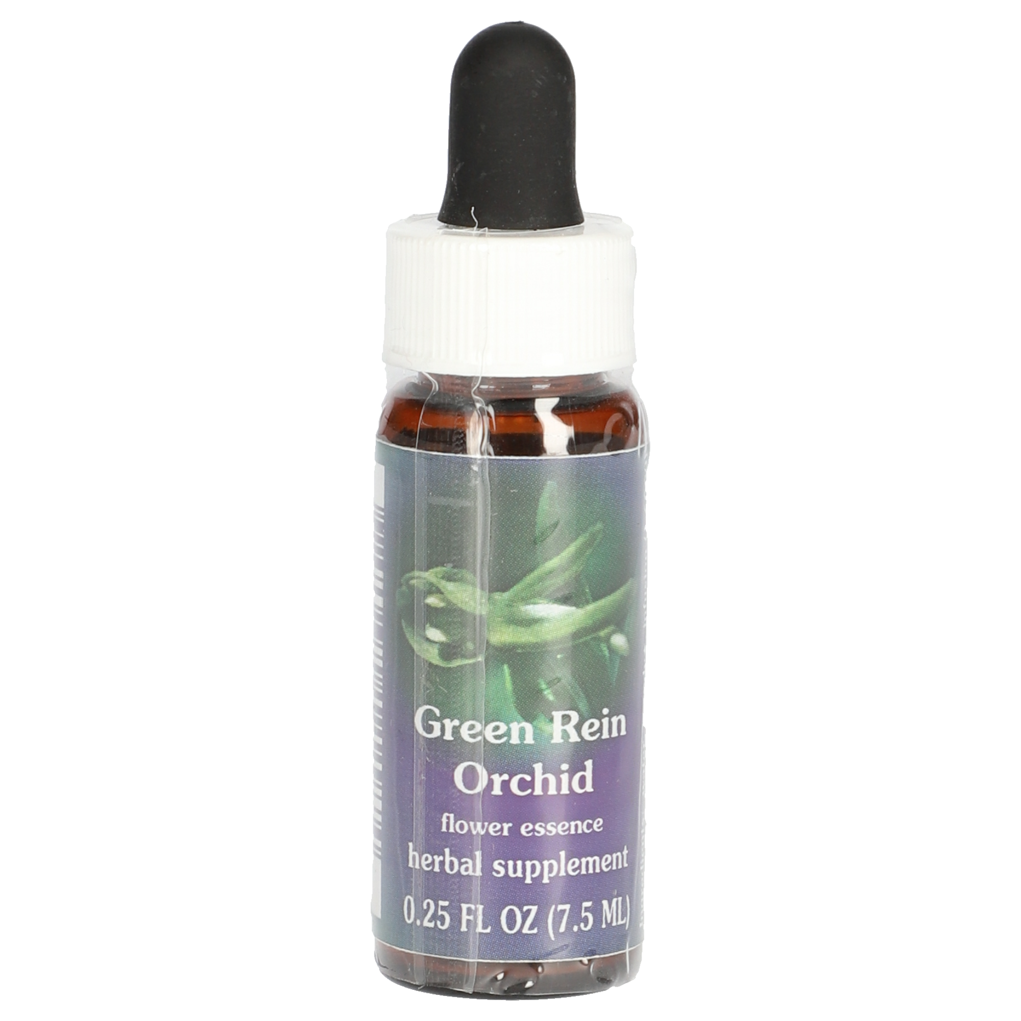 Green Rein Orchid / Platanthera sparsiflora gouttes