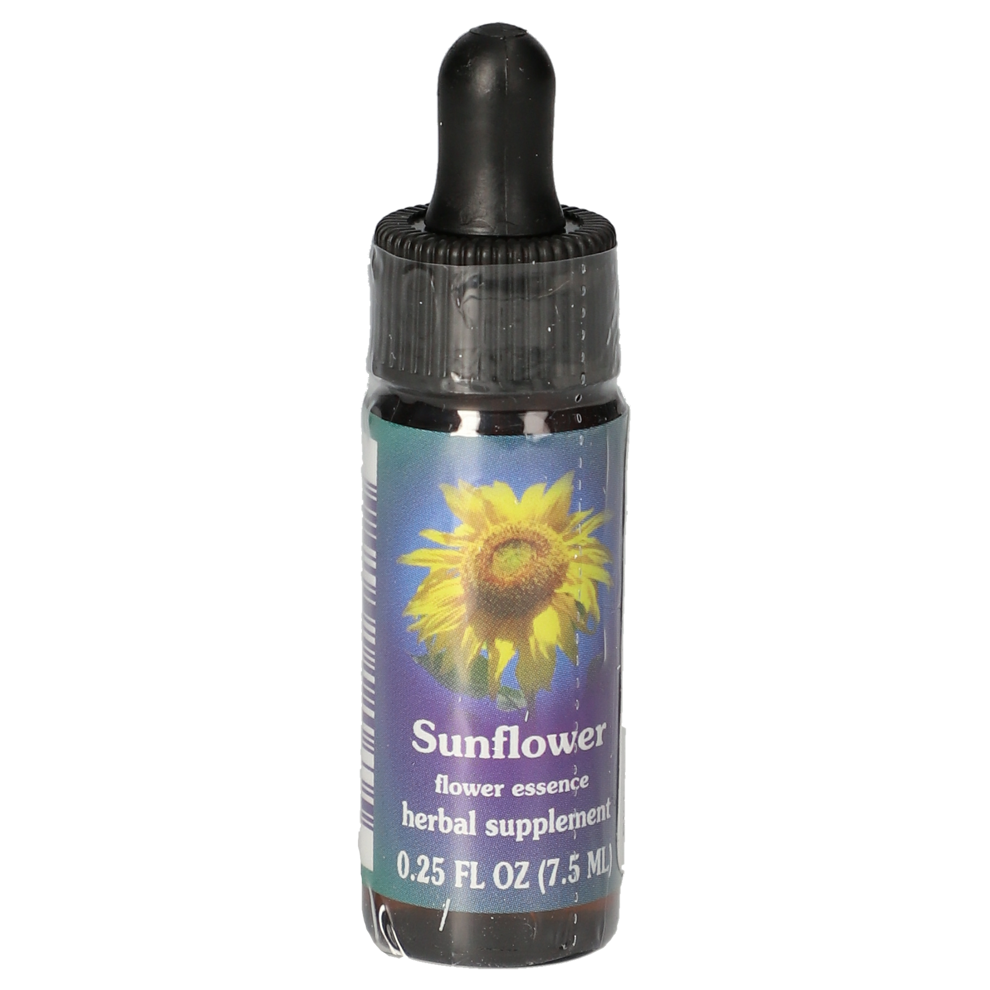 Sunflower / Tournesol gouttes Sunflower / Tournesol gouttes