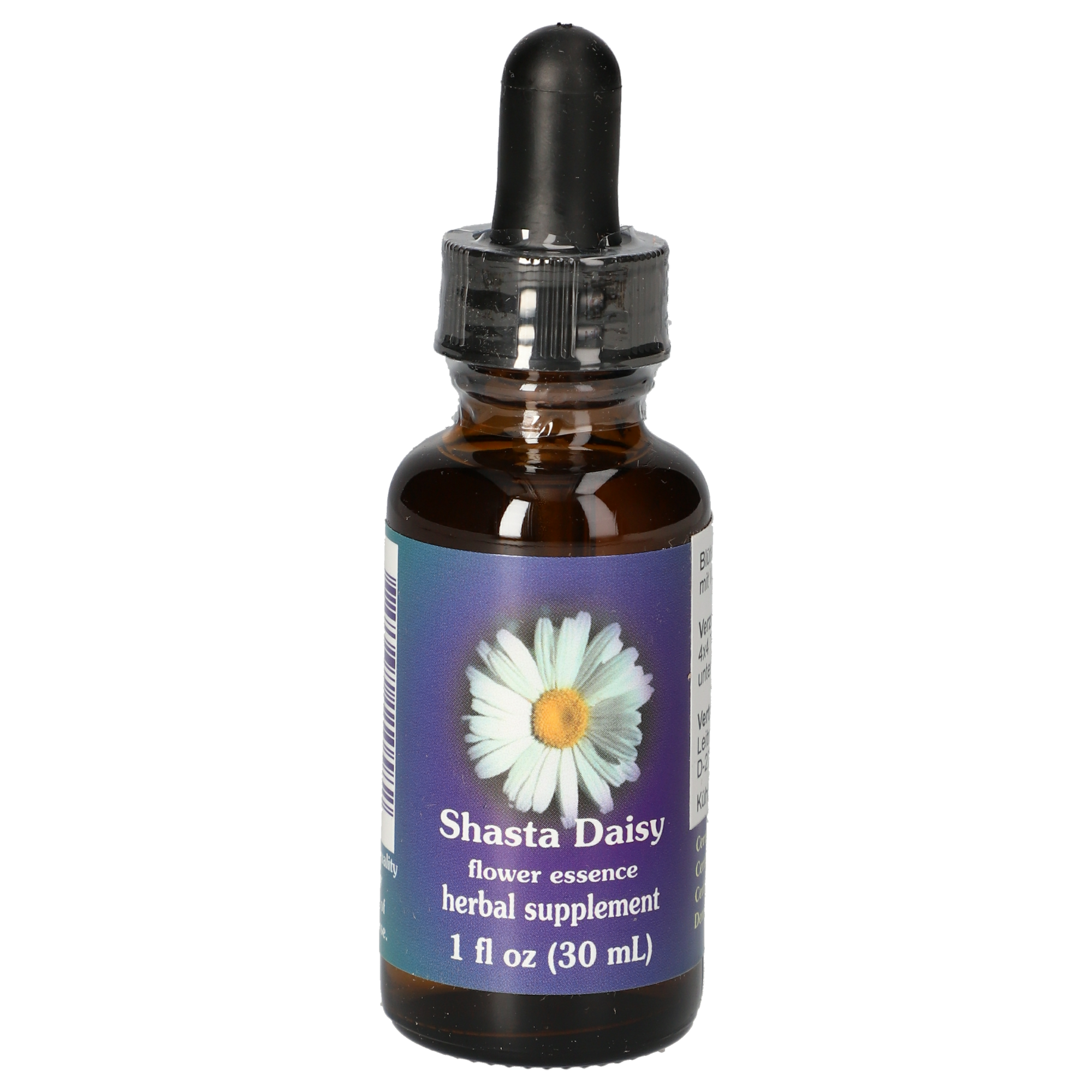 Shasta Daisy / Marguerite gouttes