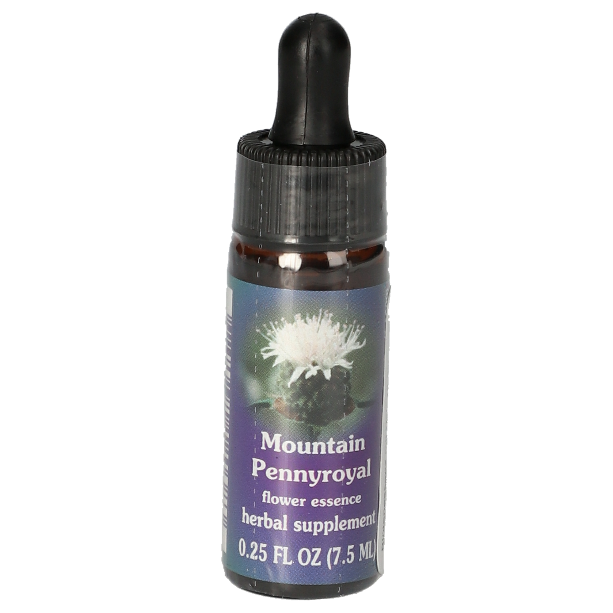 Mountain Pennyroyal / Menthe des coyotes gouttes
