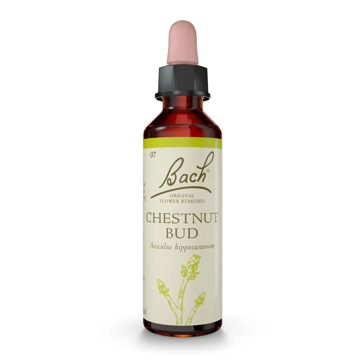Bach Original® Chestnut Bud (Bourgeons de marronnier) Nr.7