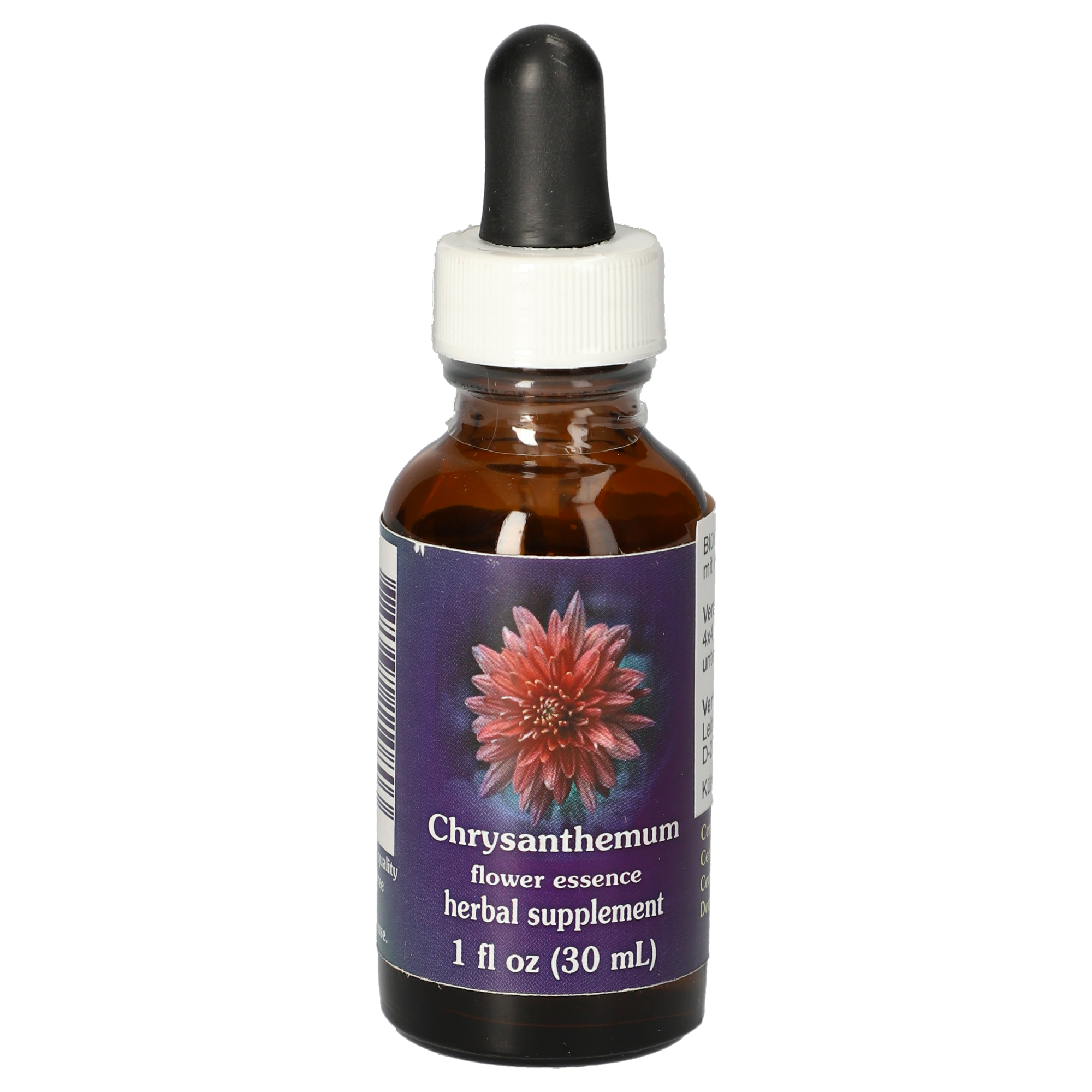 Chrysanthemum / Garten-Chrysantheme Tropfen