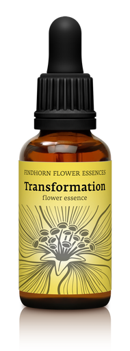 Transformation Tropfen
