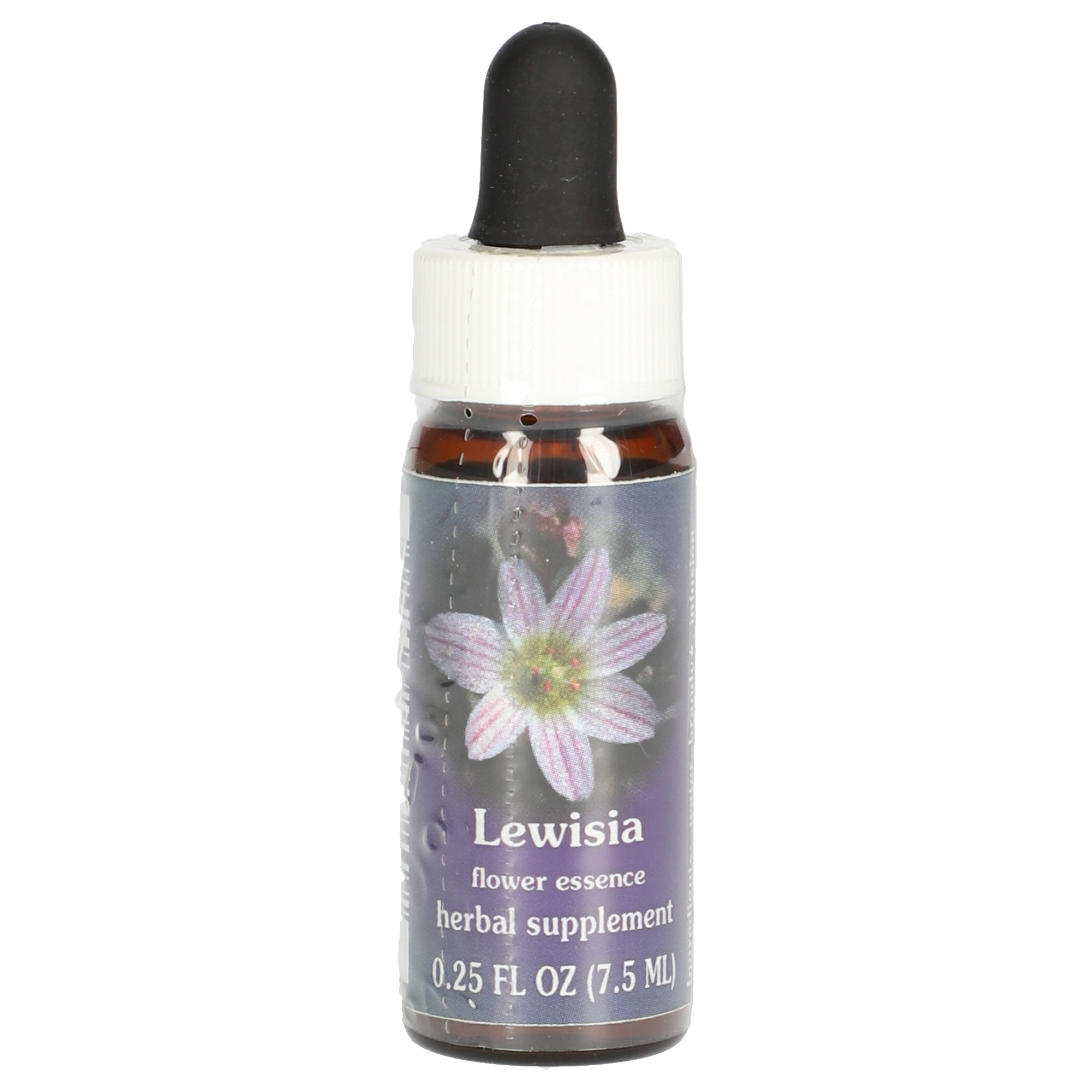 Lewisia gouttes Lewisia gouttes
