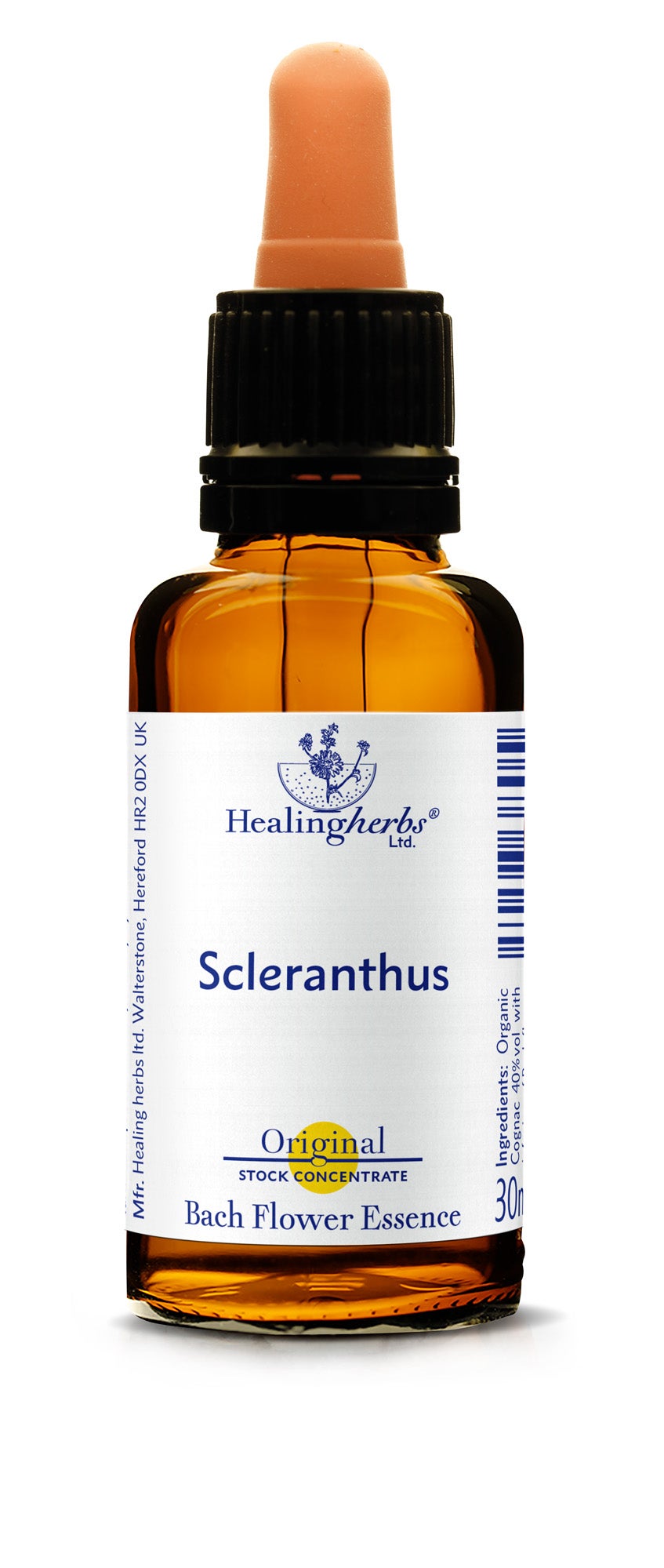 Scleranthus (Alène) gouttes