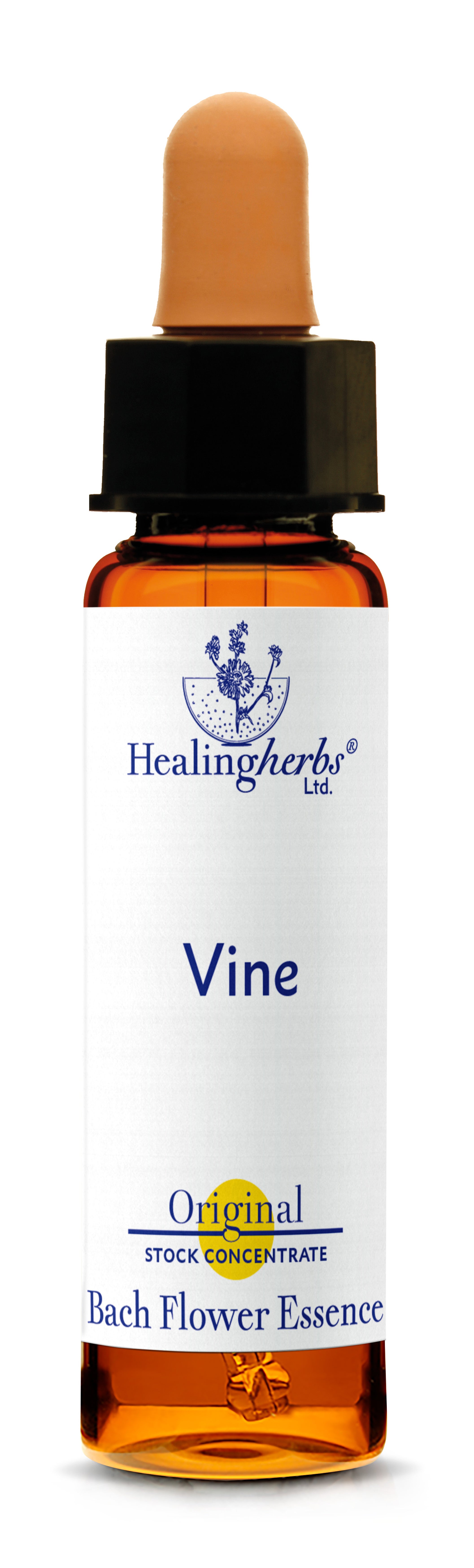 Vine (Weinrebe) Tropfen