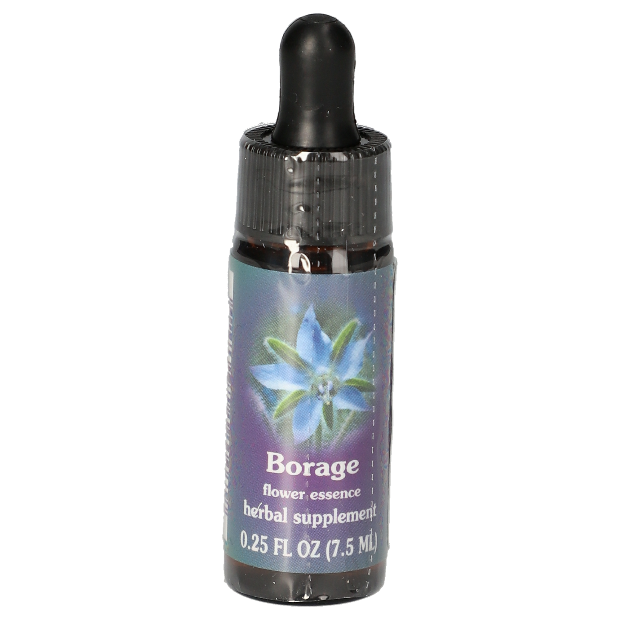 Borage / Borretsch Tropfen